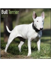 Record Calendario Con Cani Da Guardia E Da Difesa - Bull Terrier