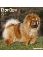 Record Calendario Con Cani Da Guardia E Da Difesa - Chow Chow