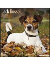 Record Calendari Con Cani Di Piccola Taglia E Cuccioli Jack Russel - 30,5 X 30,5 Cm
