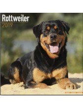 Record Calendario Con Cani Da Guardia E Da Difesa - Rottweiler