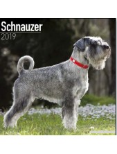 Record Calendario Con Cani Da Guardia E Da Difesa - Schnauzer