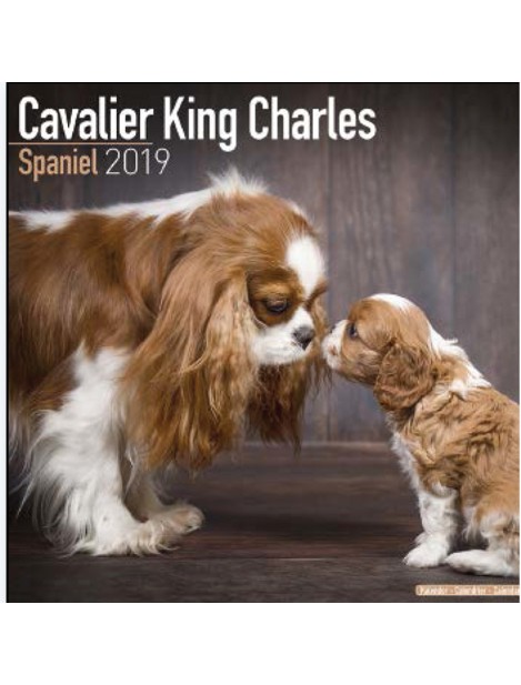 Record Calendari Con Cani Di Piccola Taglia E Cuccioli Cavalier King Charles - 30,5 X 30,5 Cm