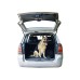 Record Walky Lock Gancio Di Blocco Per Portellone Auto Trasporto Cani 32 Cm