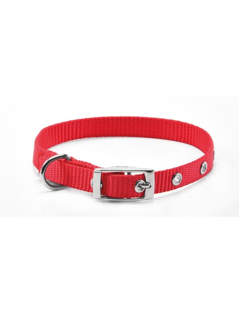 Record Collare Per Cani In Nylon Con Fibbia In Metallo Colore Rosso S - 1,5 Cm | Ø 35-40 Cm