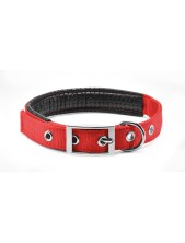 Record Collare In Nylon E Pvc Per Cani Colore Rosso Xs - 2 Cm | Ø 40-45 Cm