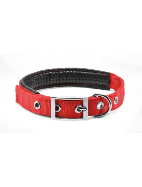 Record Collare In Nylon E Pvc Per Cani Colore Rosso M - 2,5 Cm | Ø 50-55 Cm