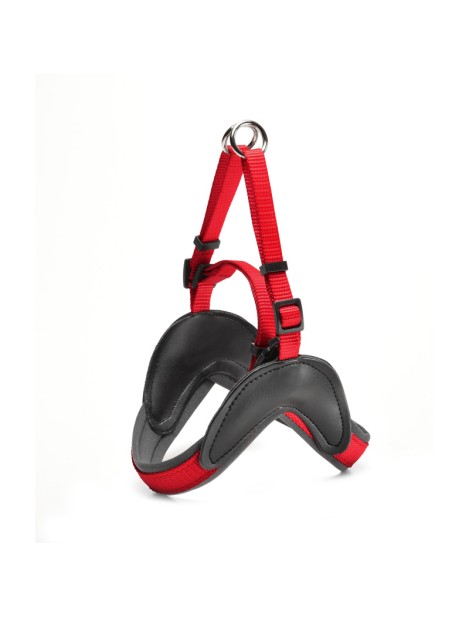 Record Easy Pettorina Per Cani Soft Con Rivestimento In Neoprene S - Circonferenza 44-50 Cm - Rosso