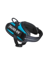 Julius-k9® Idc Powerharness Pettorina Per Cuccioli 3xs - (circonferenza 29-36 Cm Peso 0,8-3 Kg) - Acquamarina