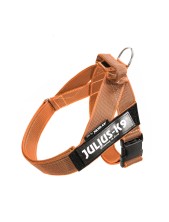Julius-k9 Idc Color & Gray Belt Harness Pettorina Per Cani M - Tg. 0 (circonferenza 58-76 Cm Peso 14-25 Kg) - Arancione