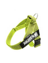 Julius-k9 Idc Color & Gray Belt Harness Pettorina Per Cani M - Tg. 0 (circonferenza 58-76 Cm Peso 14-25 Kg) - Giallo