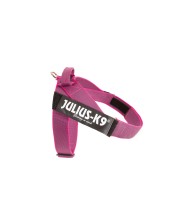 Julius-k9 Idc Color & Gray Belt Harness Pettorina Per Cani L - Tg. 1 (circonferenza 63-85 Cm Peso 23-30 Kg) - Rosa