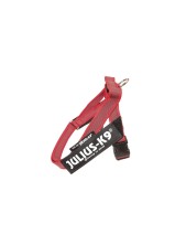 Julius-k9 Idc Color & Gray Belt Harness Pettorina Per Cani L - Tg. 1 (circonferenza 63-85 Cm Peso 23-30 Kg) - Rosso