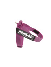 Julius-k9 Idc Color & Gray Belt Harness Pettorina Per Cani Xl - Tg. 2 (circonferenza 71-96 Cm Peso 28-40 Kg) - Rosa