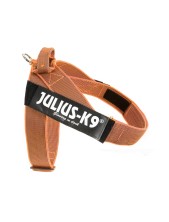 Julius-k9 Idc Color & Gray Belt Harness Pettorina Per Cani Xl - Tg. 2 (circonferenza 71-96 Cm Peso 28-40 Kg) - Arancione