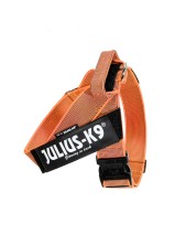 Julius-k9 Idc Color & Gray Belt Harness Pettorina Per Cani 2xl - Tg. 3 (circonferenza 82-115 Cm Peso 40-70 Kg) - Arancione