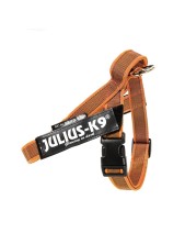 Julius-k9 Idc Color & Gray Belt Harness Pettorina Per Cani S - Tg. Mini (circonferenza 49-67 Cm Peso 7-15 Kg) - Arancione