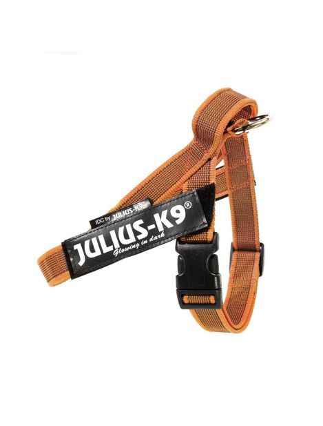 Julius-K9 Idc Color & Gray Belt Harness Pettorina Per Cani S - Tg. Mini (Circonferenza 49-67 Cm Peso 7-15 Kg) - Arancione
