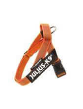 Julius-k9 Idc Color & Gray Belt Harness Pettorina Per Cani Xs - Tg. Mini Mini (circonferenza 40-53 Cm Peso 4-7 Kg) - Arancione