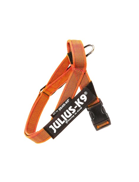 Julius-K9 Idc Color & Gray Belt Harness Pettorina Per Cani Xs - Tg. Mini Mini (Circonferenza 40-53 Cm Peso 4-7 Kg) - Arancione