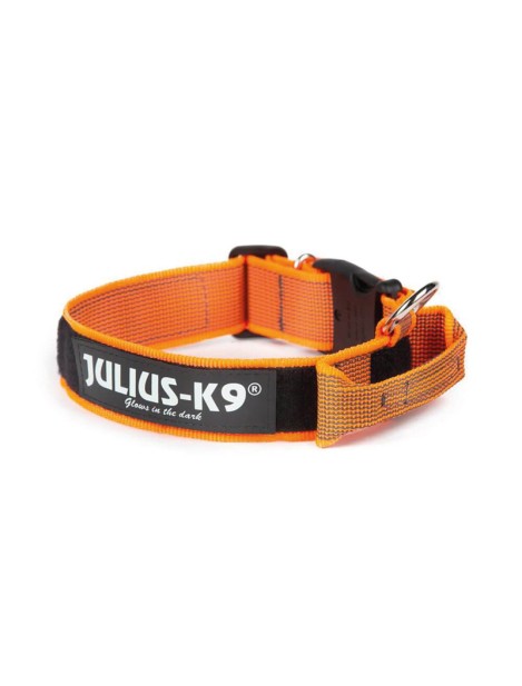 Julius-K9 Color & Gray Collare Per Cani Con Maniglia L - 5 Cm|Circonferenza 49-70 Cm Arancio Fluo - 1Pz