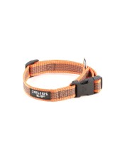 Julius-k9 Color & Gray Collare Per Cani S - 2 Cm|circonferenza 27-42 Cm - Arancione