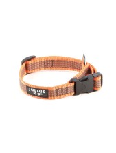Julius-k9 Color & Gray Collare Per Cani L - 2,5 Cm|circonferenza 39-65 Cm - Arancione