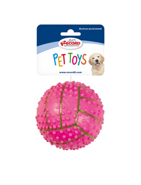 Record Pet Toys Palline In Gomma Dura Pallavolo Giochi Per Cani Ø 8,8 Cm