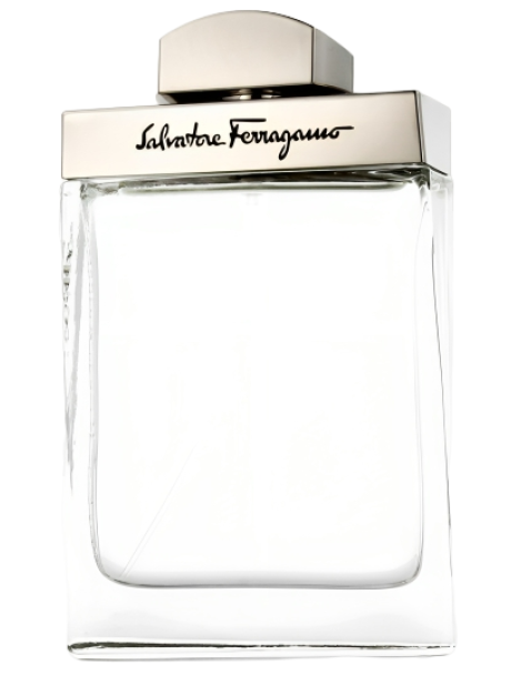 Salvatore Ferragamo Pour Homme Eau De Toilette Uomo 100 Ml