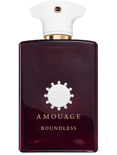 Amouage Boundless Eau De Parfum Unisex 100 Ml