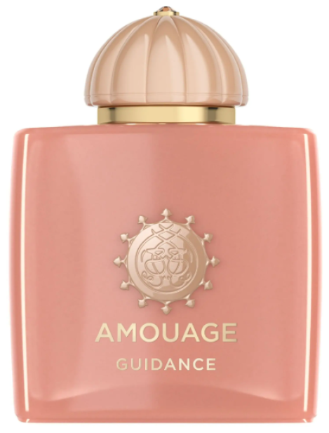 Amouage Guidance Eau De Parfum Unisex 100 Ml