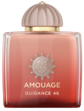Amouage Guidance 46 Exeptional Extrait De Parfum Unisex 100 Ml