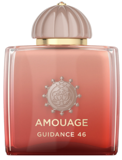 Amouage Guidance 46 Exeptional Extrait De Parfum Unisex 100 Ml