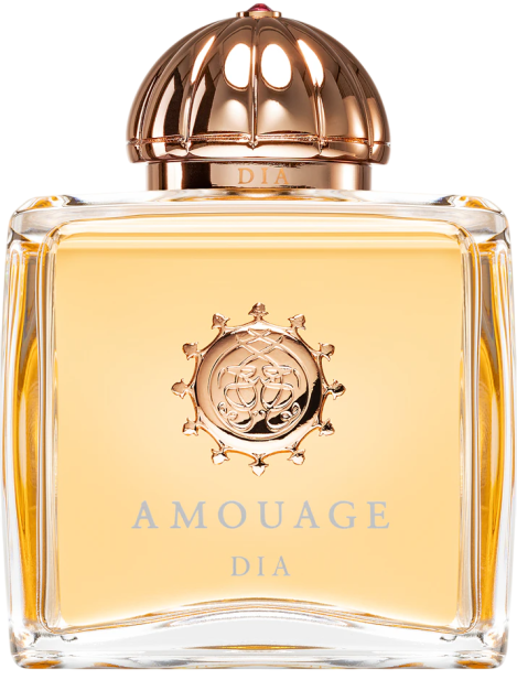 Amouage Dia Woman Eau De Parfum Donna 100 Ml