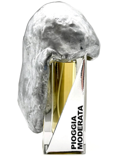 Filippo Sorcinelli Pioggia Moderata Extrait De Parfum Unisex 50 Ml Filippo Sorcinelli Pioggia Moderata Extrait De Parfum Unisex 50 Ml