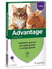 Advantage 80mg Soluzione Spot On Gatti E Conigli Grandi 4 Pipette