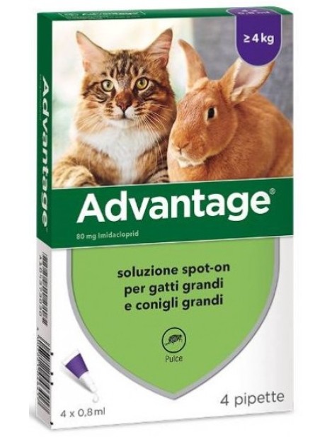 Advantage 80Mg Soluzione Spot On Gatti E Conigli Grandi 4 Pipette