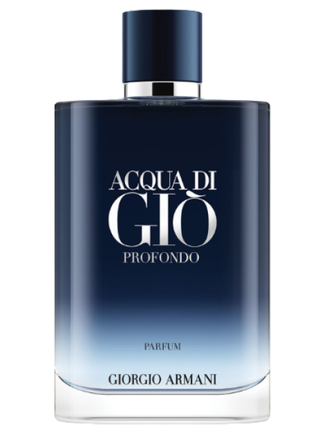 Giorgio Armani Acqua Di Giò Profondo Parfum Uomo 200 Ml