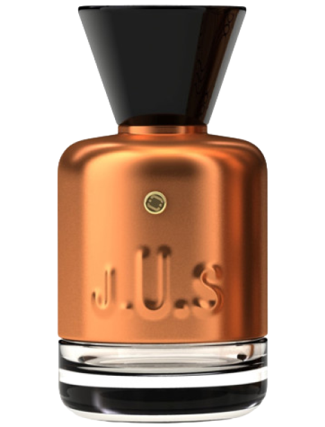 Jus Spritzlove Parfum Unisex 100 Ml