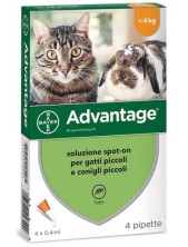 Advantage 40 Mg Soluzione Antiparassitaria Spot-on Gatti E Conigli Piccoli 4 Pipette