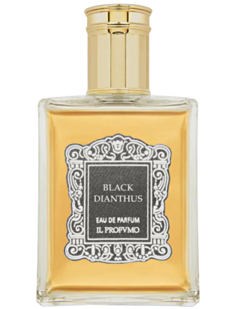 Il Profvmo Black Dianthus Eau De Parfum Unisex 100 Ml