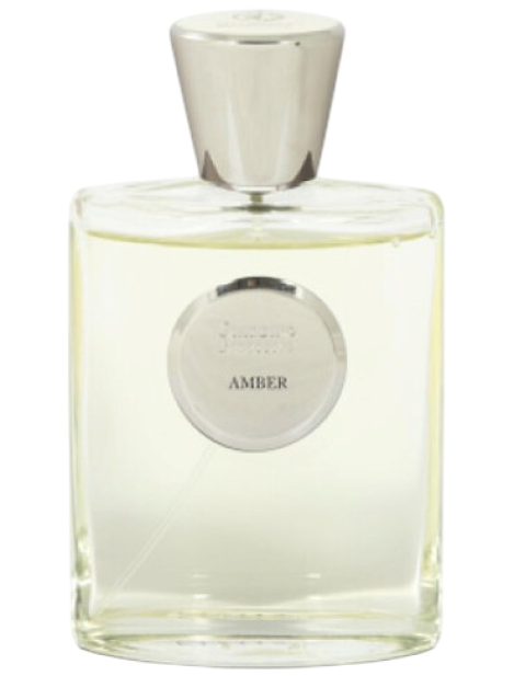 Giardino Benessere Amber Eau De Parfum Unisex 100 Ml