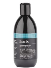 Sendo Scalp Restore Shampoo Riequilibrante - 250 Ml