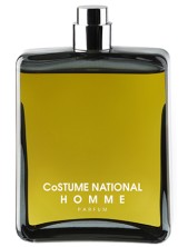 Costume National Homme Parfum Uomo 100 Ml