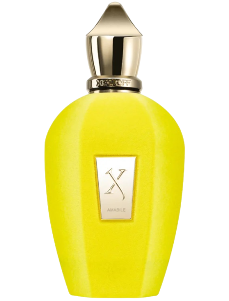 Xerjoff V Amabile Eau De Parfum Unisex 100 Ml