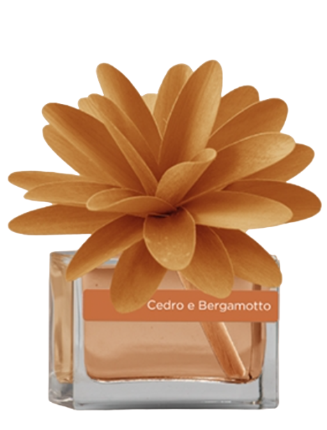 Muhà Flower Diffuser Profumo Per Ambiente – Cedro E Bergamotto 30 Ml