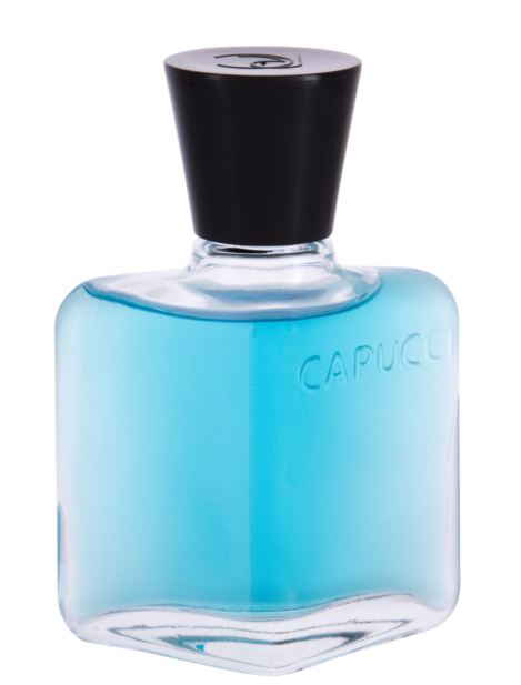 Roberto Capucci Blu Water After Shave 100Ml