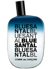 Comme Des Garçons Blue Santal Eau De Parfum Unisex 100 Ml