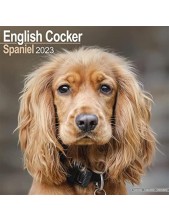 Record Calendario English Cocker Spaniel 35 X 35 Cm