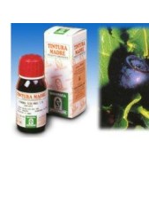 Mirtillo 31 50ml Tm Specch